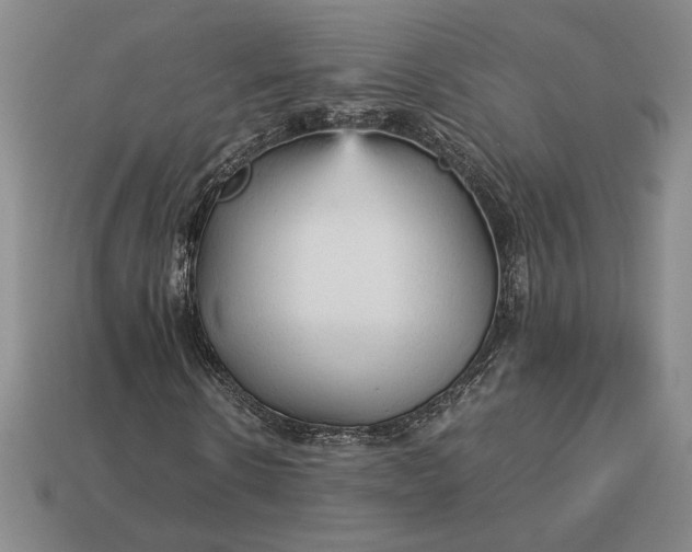 X0000113140914200909181726