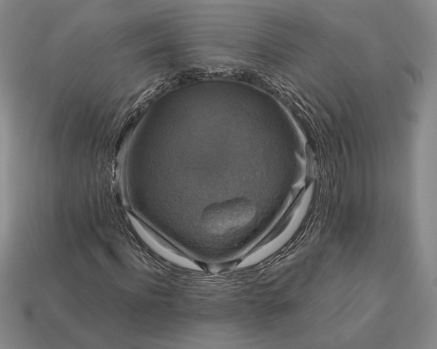 X0000113140916200909181726