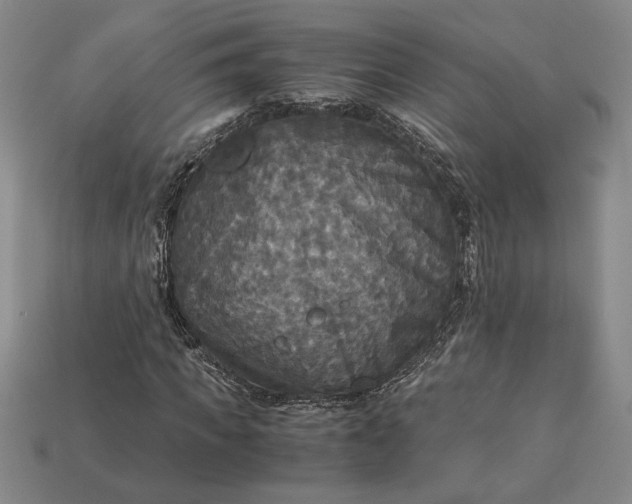 X0000113140917200909181726