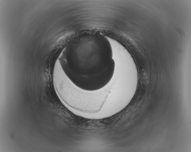 X0000113140918200909181726