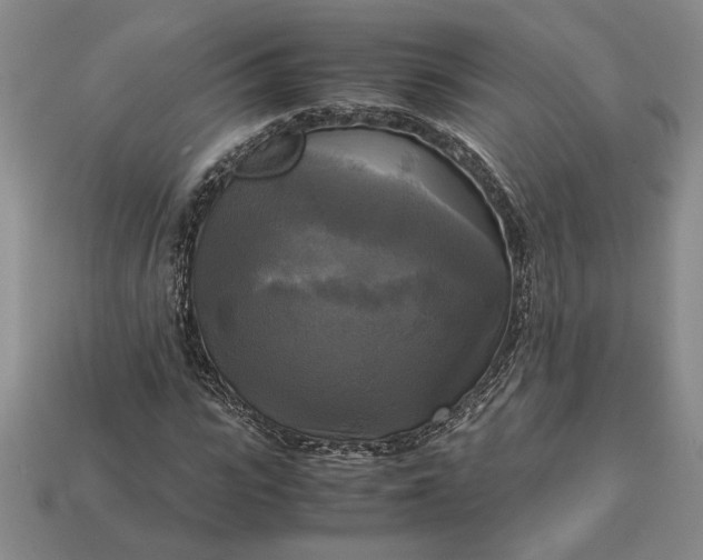 X0000113140919200909181726