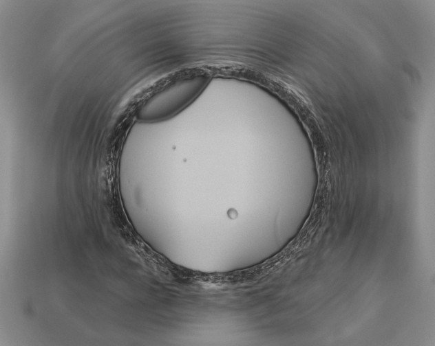 X0000113140920200909181726