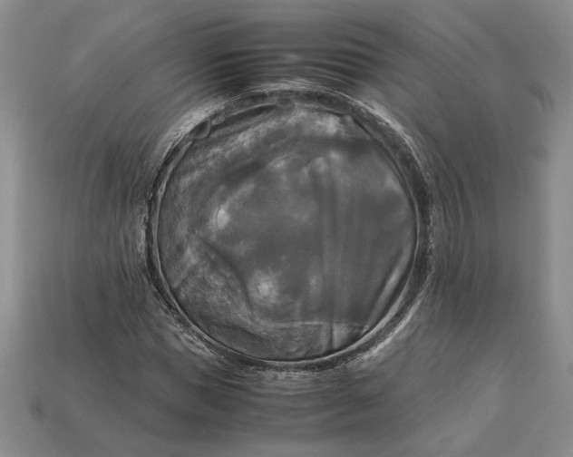 X0000113140921200909181726