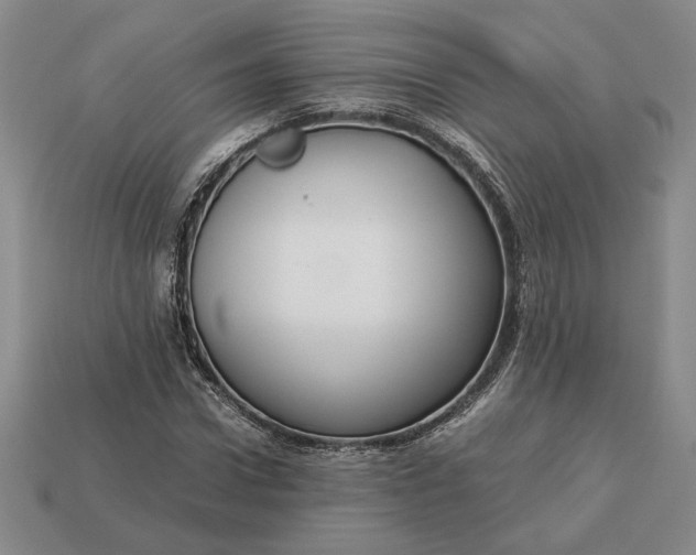 X0000113140922200909181726