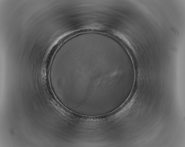 X0000113140923200909181726