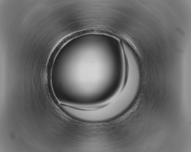 X0000113140924200909181726