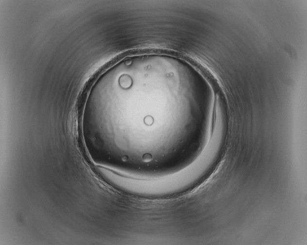 X0000113140925200909181726