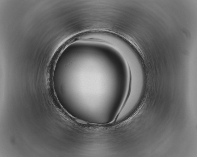 X0000113140926200909181726