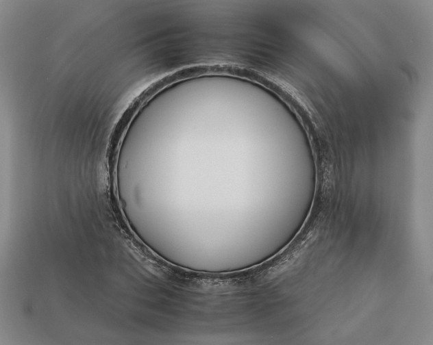 X0000113140927200909181726