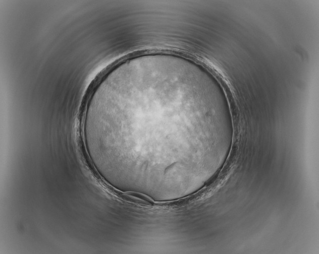 X0000113140928200909181726