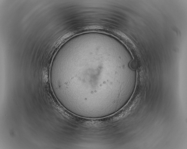 X0000113140929200909181726