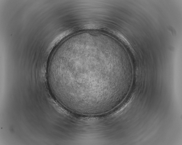 X0000113140930200909181726