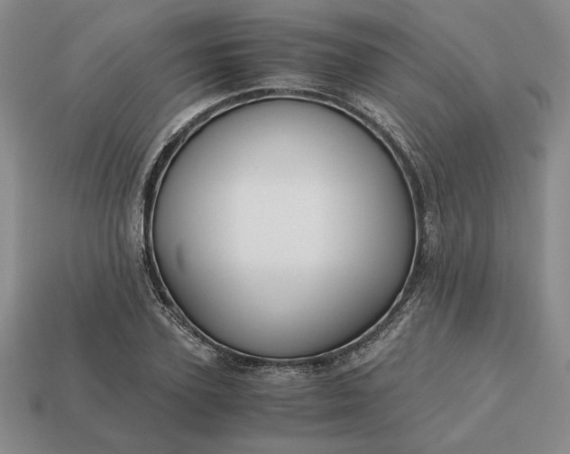 X0000113140931200909181726