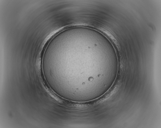 X0000113140933200909181726