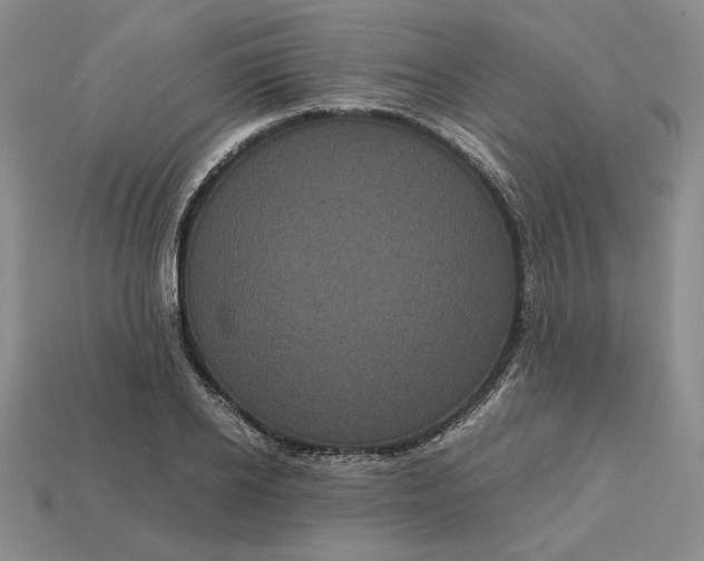 X0000113140934200909181726