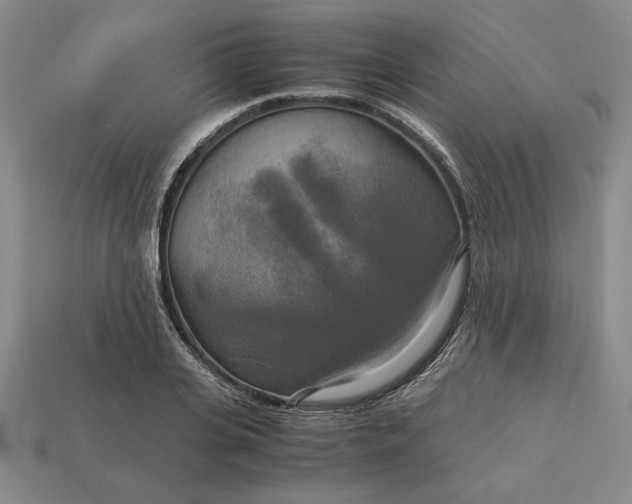 X0000113140935200909181726