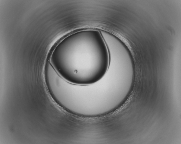 X0000113140936200909181726