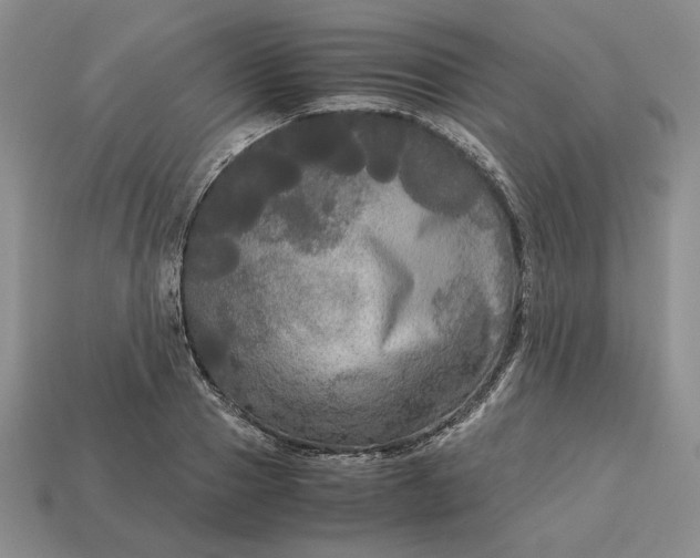 X0000113140937200909181726