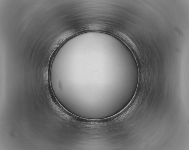 X0000113140938200909181727