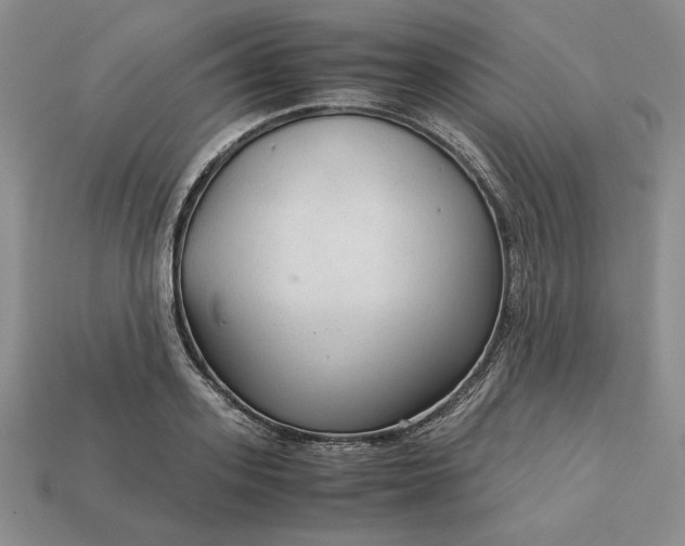 X0000113140939200909181727