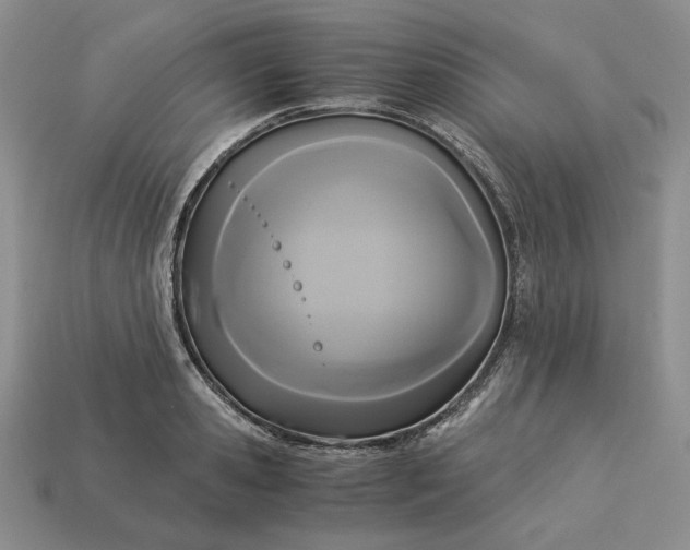 X0000113140941200909181727