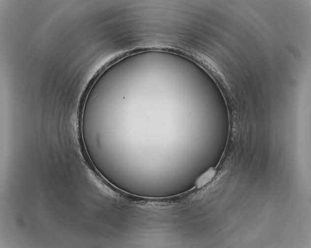 X0000113140942200909181727