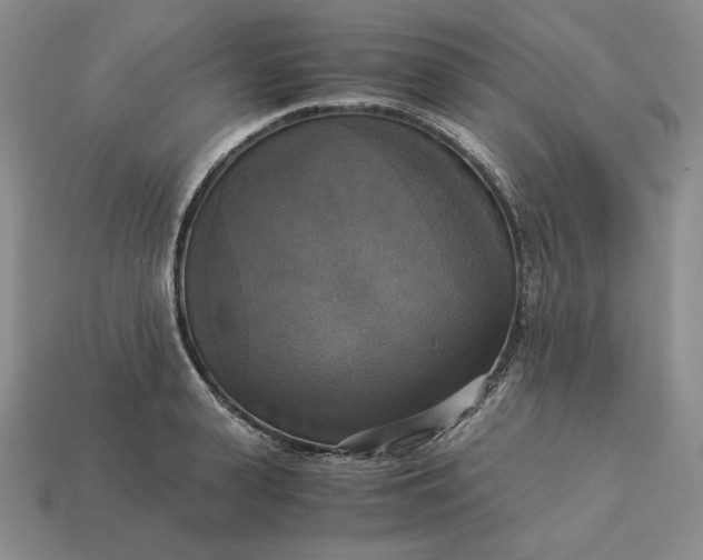 X0000113140943200909181727