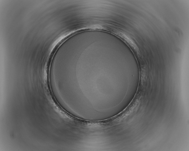 X0000113140944200909181727