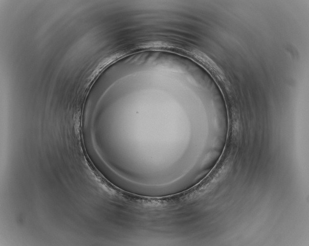 X0000113140945200909181727