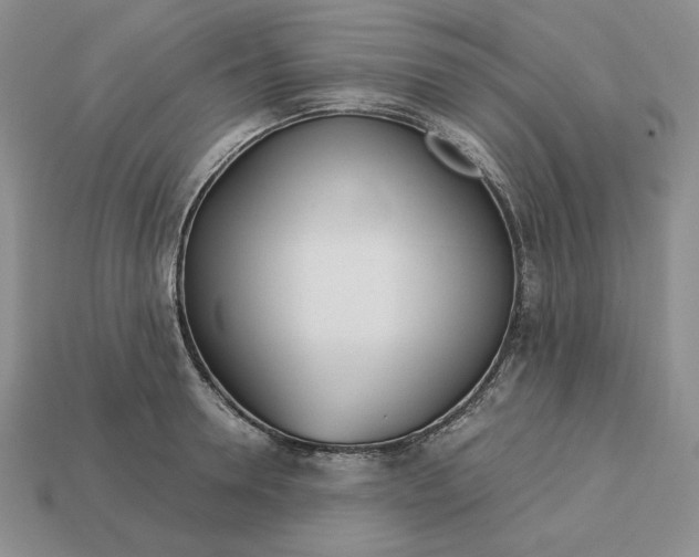 X0000113140946200909181727