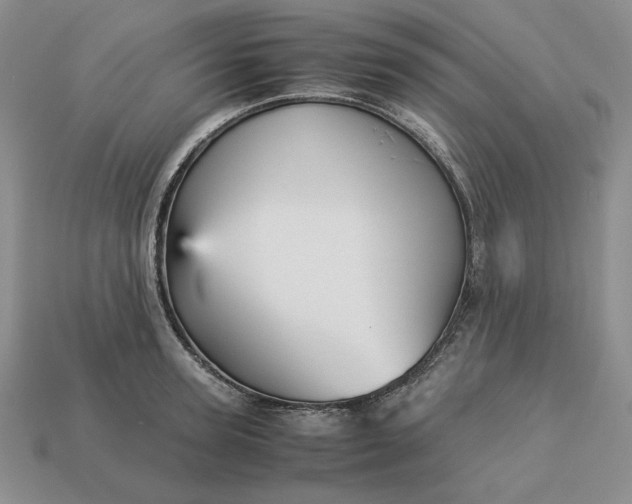 X0000113140947200909181727