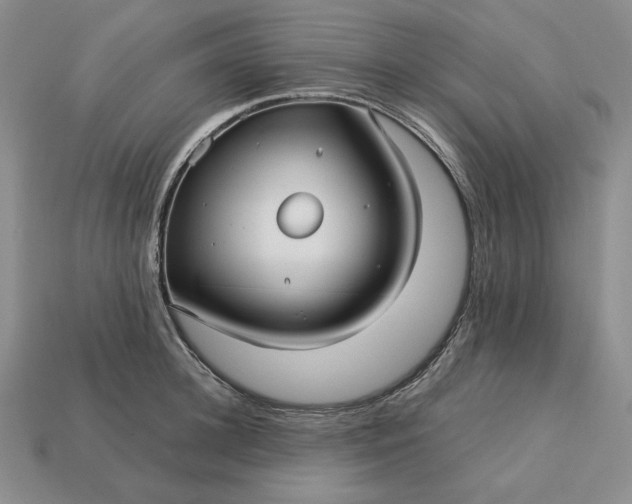 X0000113140948200909181727