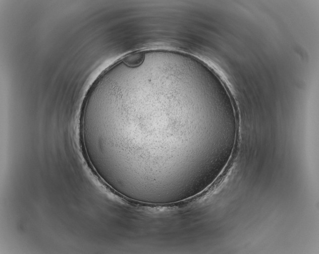 X0000113140949200909181727