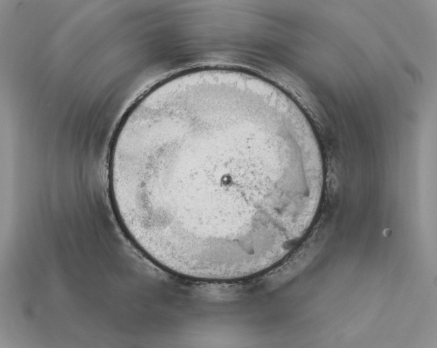 X0000113140950200909181727