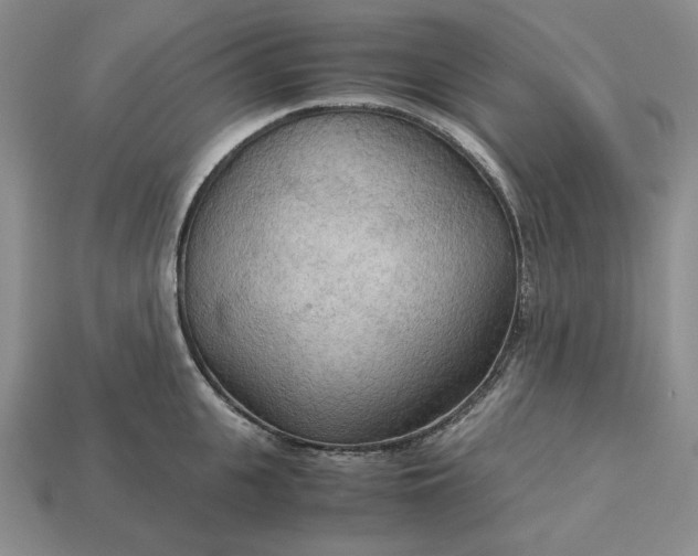 X0000113140951200909181727