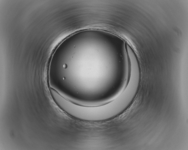 X0000113140952200909181727