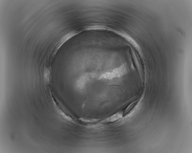 X0000113140953200909181727