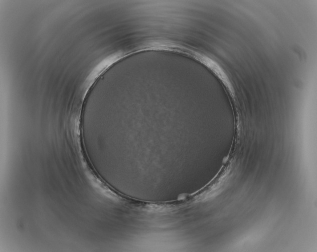 X0000113140954200909181727