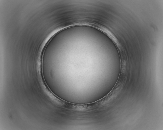 X0000113140955200909181727