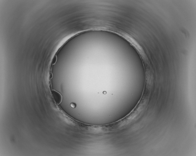 X0000113140956200909181727