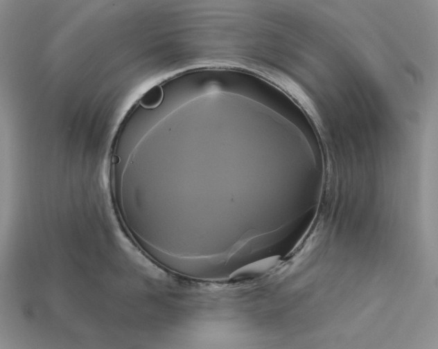 X0000113140958200909181727