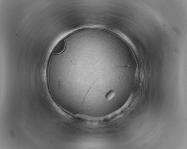 X0000113140959200909181727