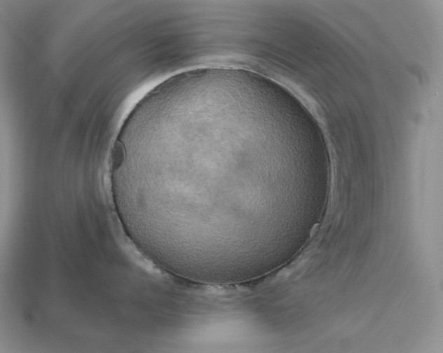 X0000113140960200909181727