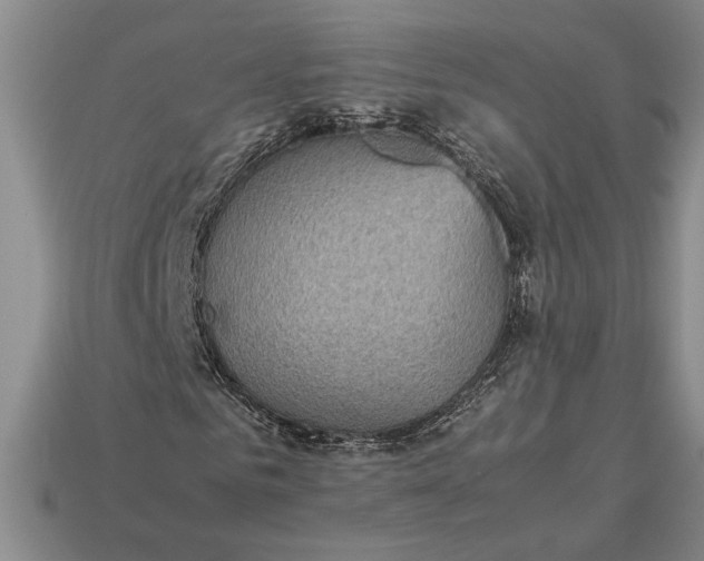 X0000113140961200909181726