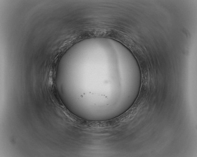 X0000113140962200909181726