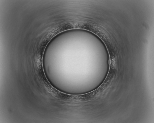 X0000113140963200909181726