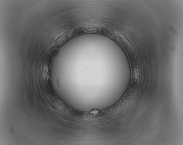 X0000113140964200909181726