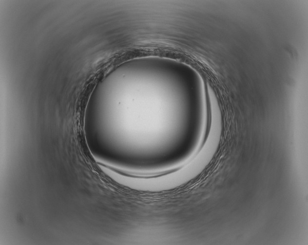 X0000113140965200909181726