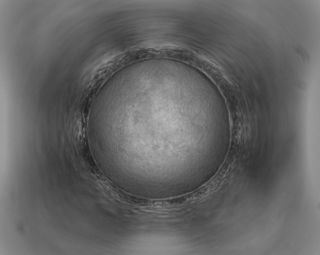 X0000113140966200909181726