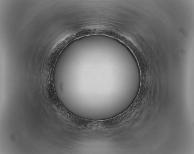 X0000113140967200909181726